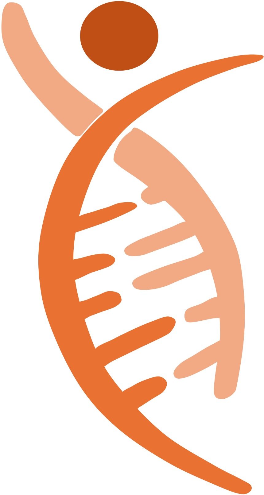 stephan jäger – consulting